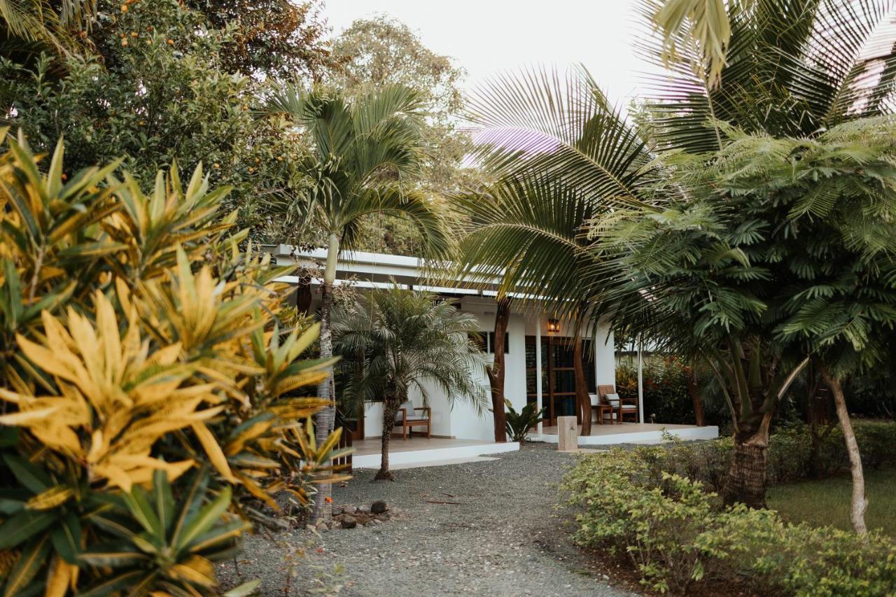 Salvatierra Beachfront Hotel Puerto Coyote Esterno foto